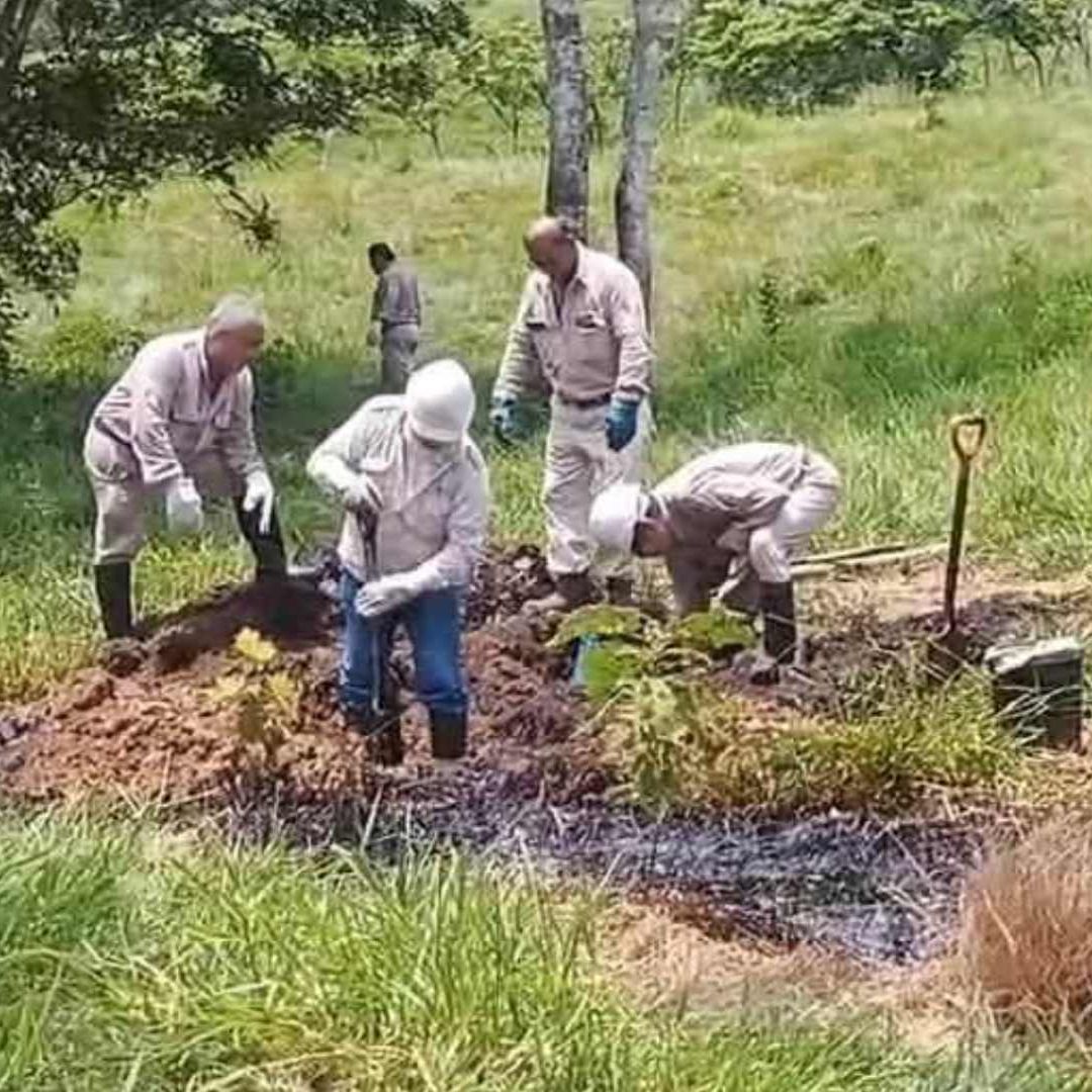 Autoridades confirmaron un derrame de petróleo crudo en el ejido Esfuerzo del Trabajo, en Ixhuatlán del Sureste
