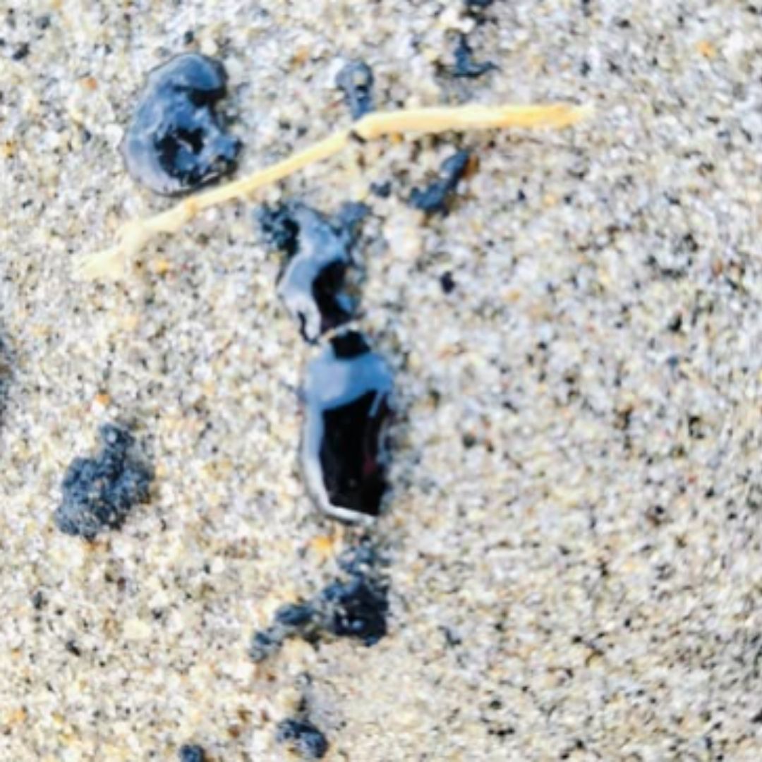 ¿Cierran Playas de Oaxaca? Derrame Ocasiona Trabajos de Limpieza en Plenas Vacaciones