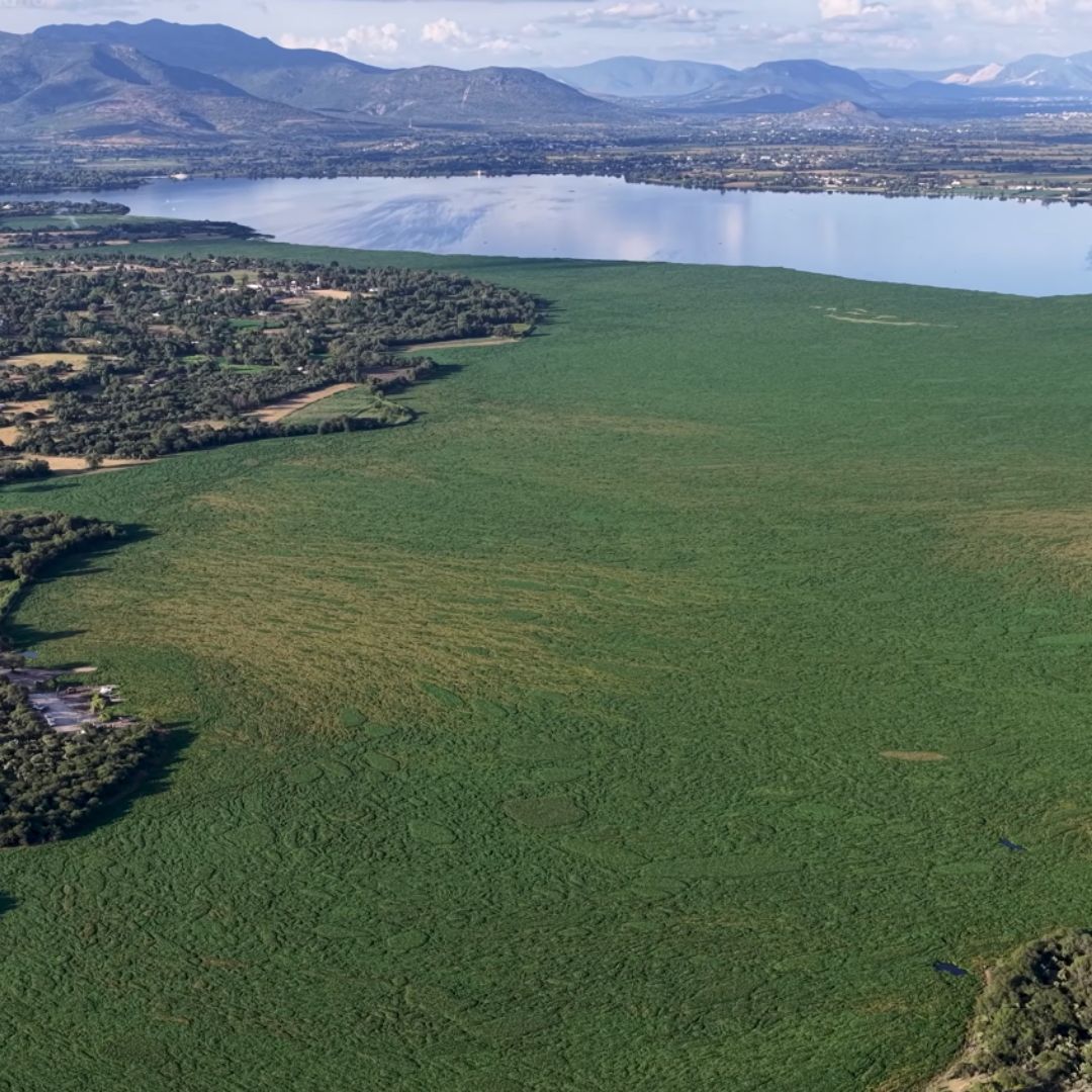 Presa Endhó