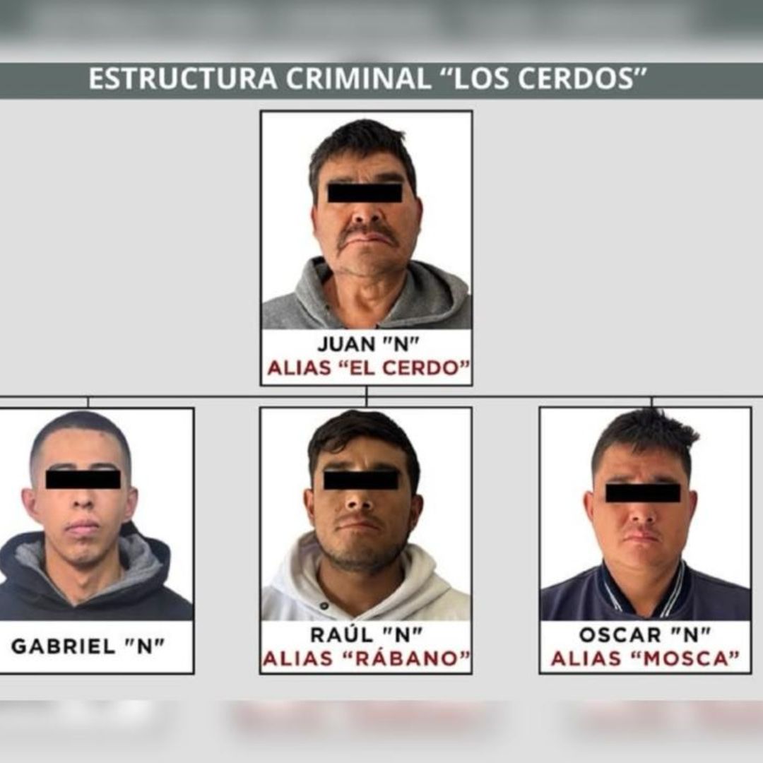 Integrantes del grupo delictivo 'Los Cerdos'
