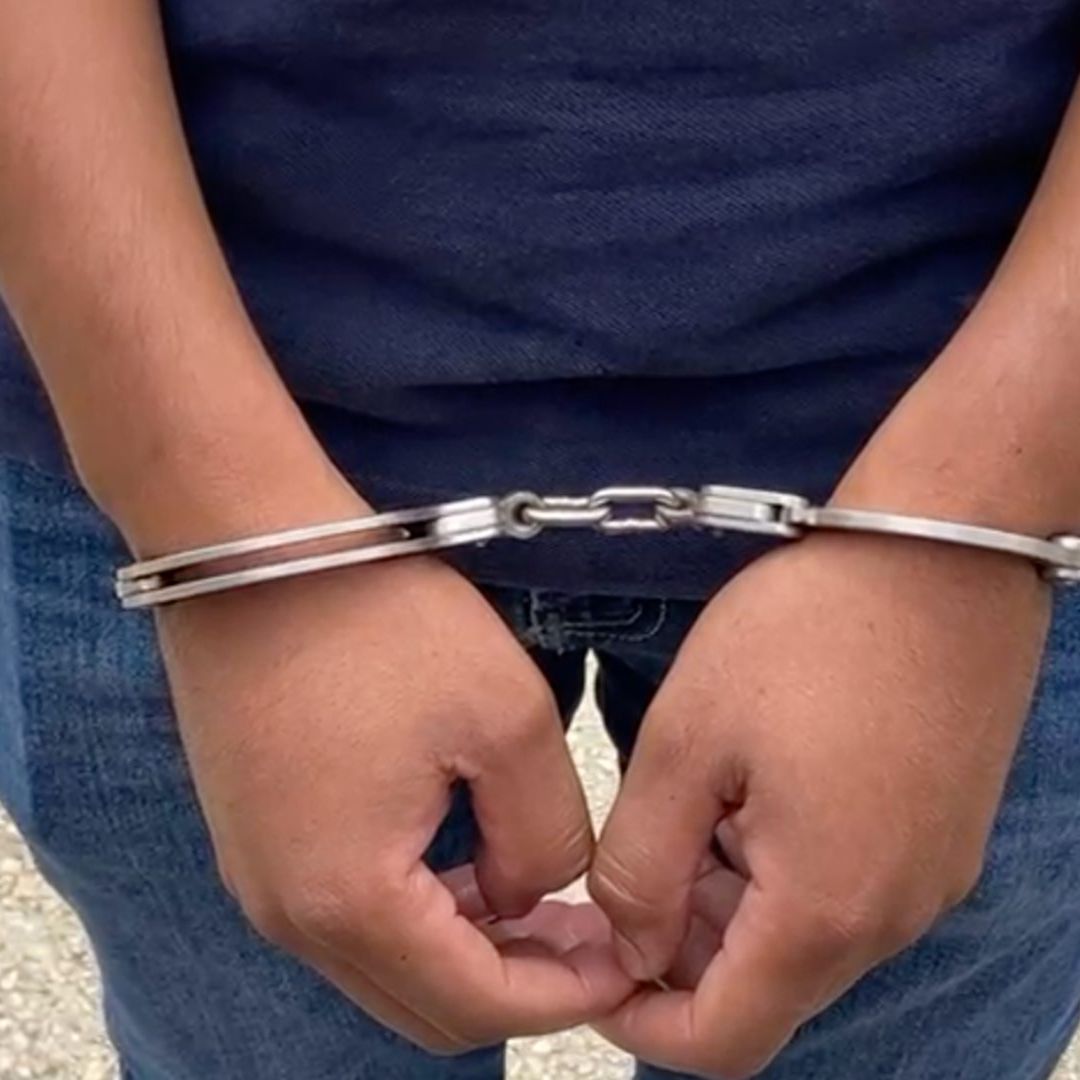 Autoridades confirmar detenidos y aseguramiento tras incendio de granja de pollos en el norte de Veracruz