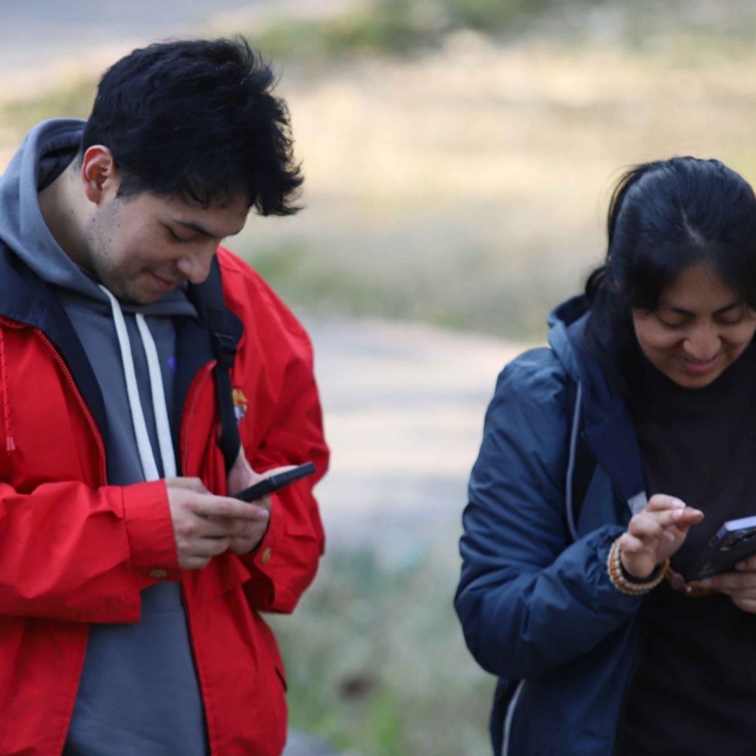 Empiezan a suspender celulares en México link para hacer registro de línea telefónica según tu compañía