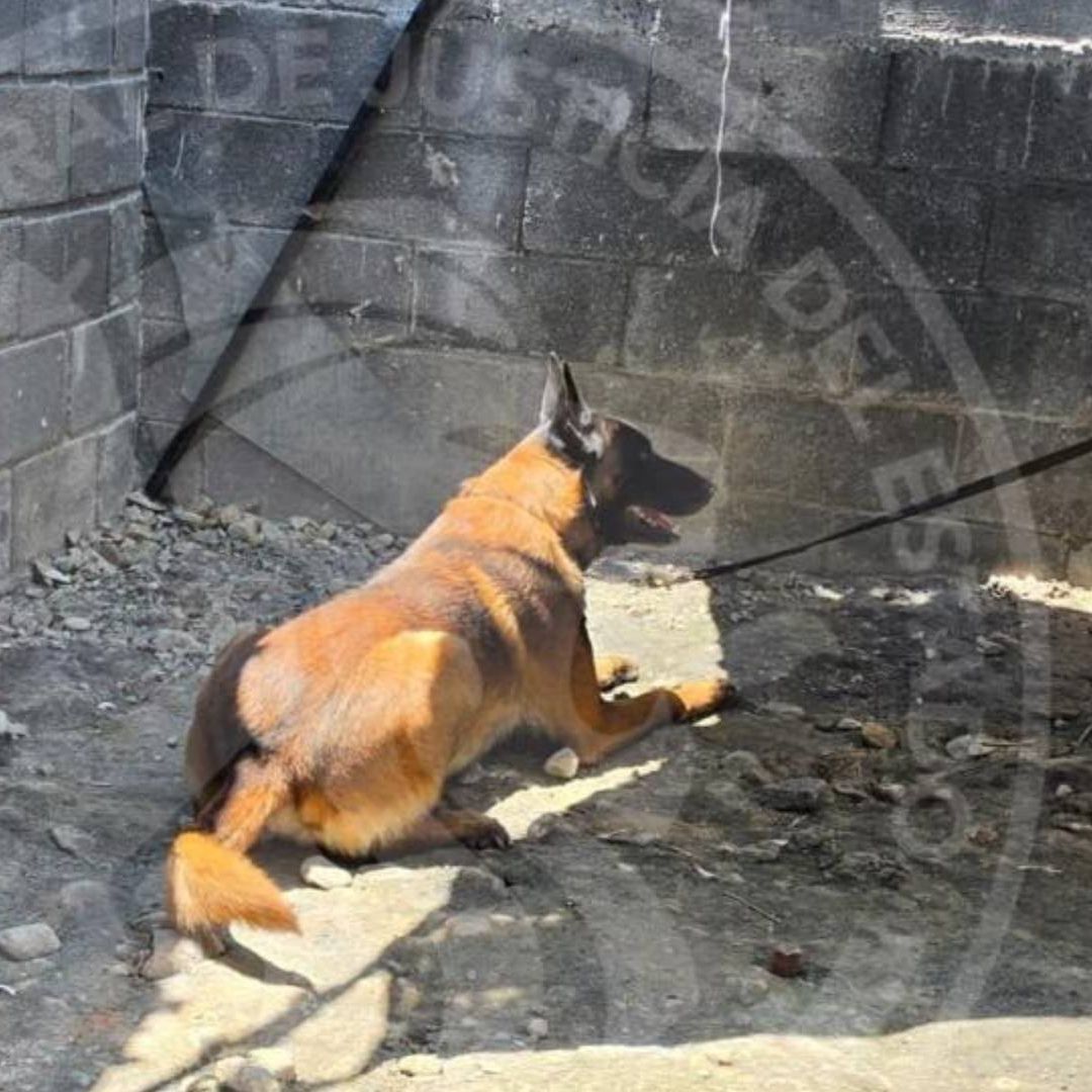 Autoridades encuentran cuerpo sin vida en Casa de Garcia, NL