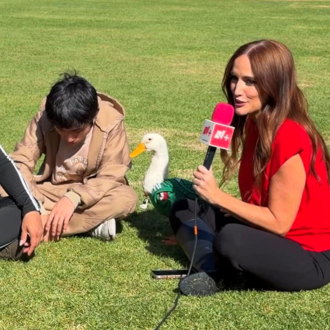 Pato Merlín, entrevista N+
