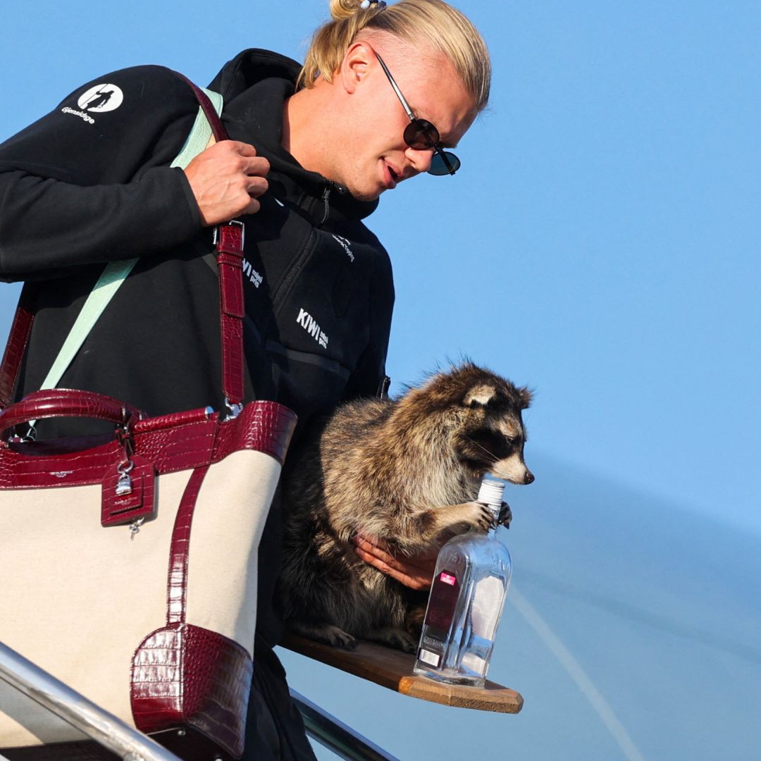 Haaland Regresa a Noruega con un Mapache: 90 Mil Hacen “El Remo” tras Recibirlos la Realeza