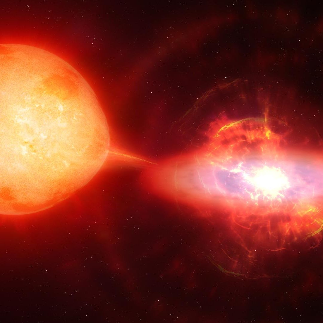 Estrella vampiro se come a su víctima, una enana roja