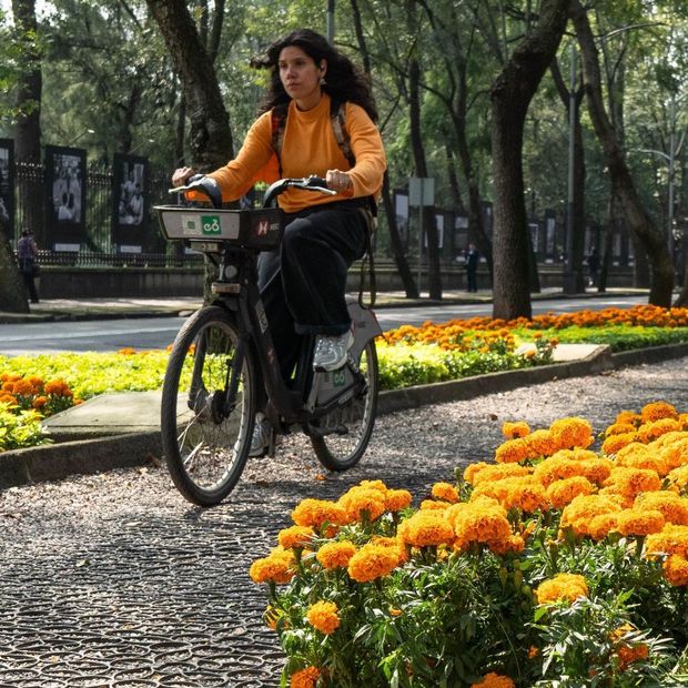 Checa Qué Evento Hay en Reforma Desde Hoy por Día de Muertos 2026
