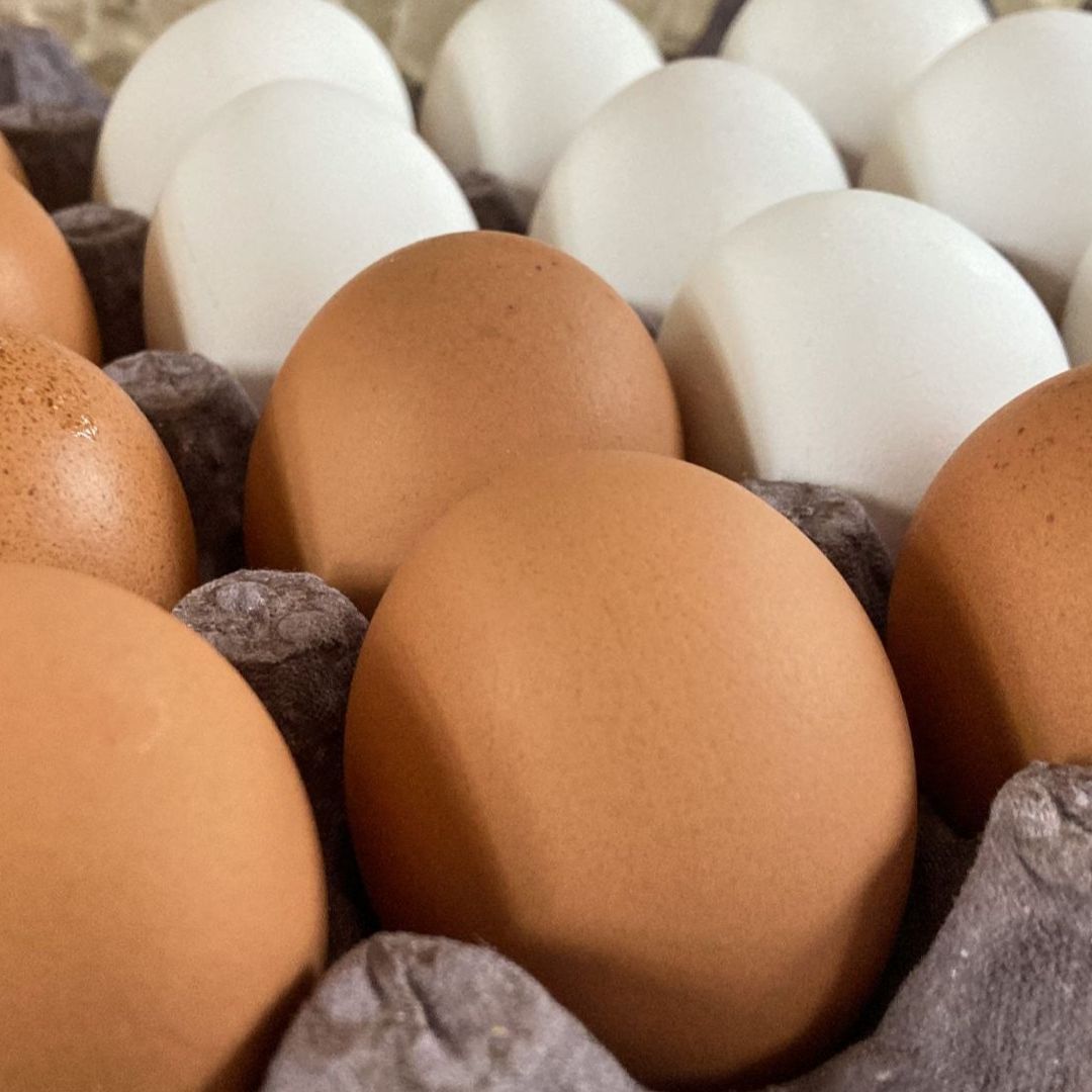 La clave está en el sello de los huevos. Foto: Cuartoscuro