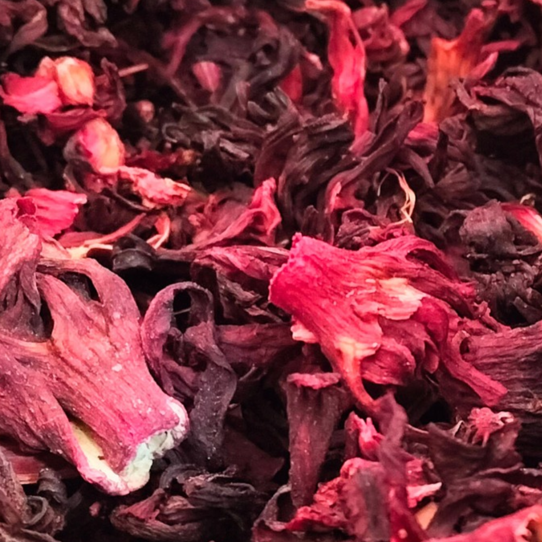 Flor de Jamaica