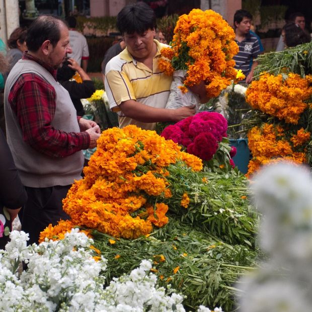Venta de flores de Día de Muertos en el Mercado de Jamaica en CDMX