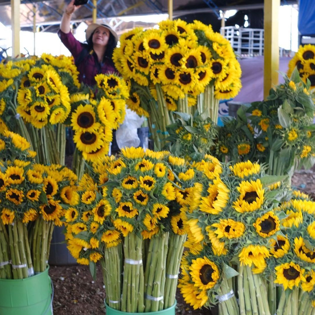 Checa 30 Frases Bonitas para Regalar Flores Amarillas y Desear un Feliz Día