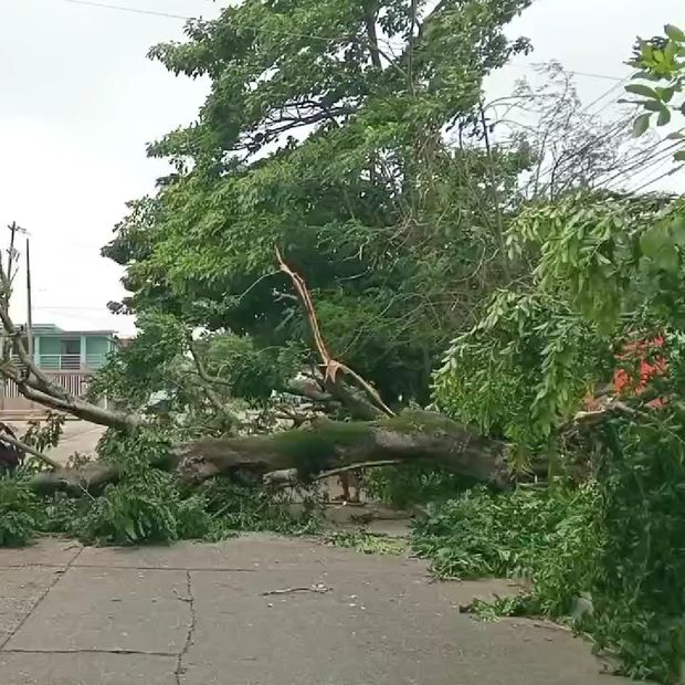 Frente Frío No. Dos en Veracruz: Reportan Afectaciones en Villa Allende