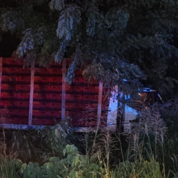 Localizan camión avícola abandonado tras posible ataque armado en Veracruz
