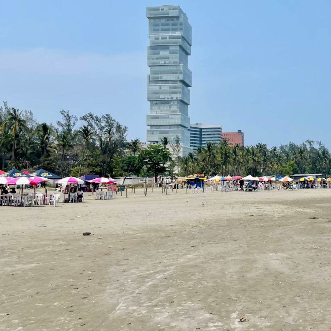 Tortuga es Hallada sin Vida en Playa de Boca del Río; Se Investigan las Causas de su Muerte