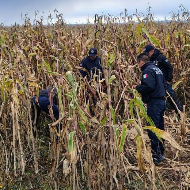 Hallazgo Cuerpo Muerto Baleado Carretera Teziutlán Virreyes Tlatlauquitepec Puebla