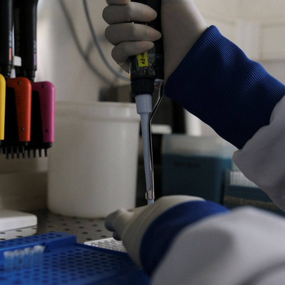 Regresa Hantavirus: Se Encienden las Alertas Sanitarias en Venezuela con Tres Muertos