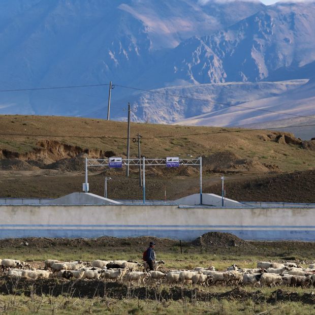 Un pastor guía a un rebaño bajo las montañas, en la zona de Tíbet