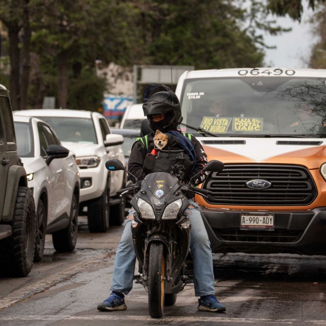 Hay Doble Hoy No Circula viernes 25 de septiembre 2026 lista de autos con restricción en CDMX y Edomex