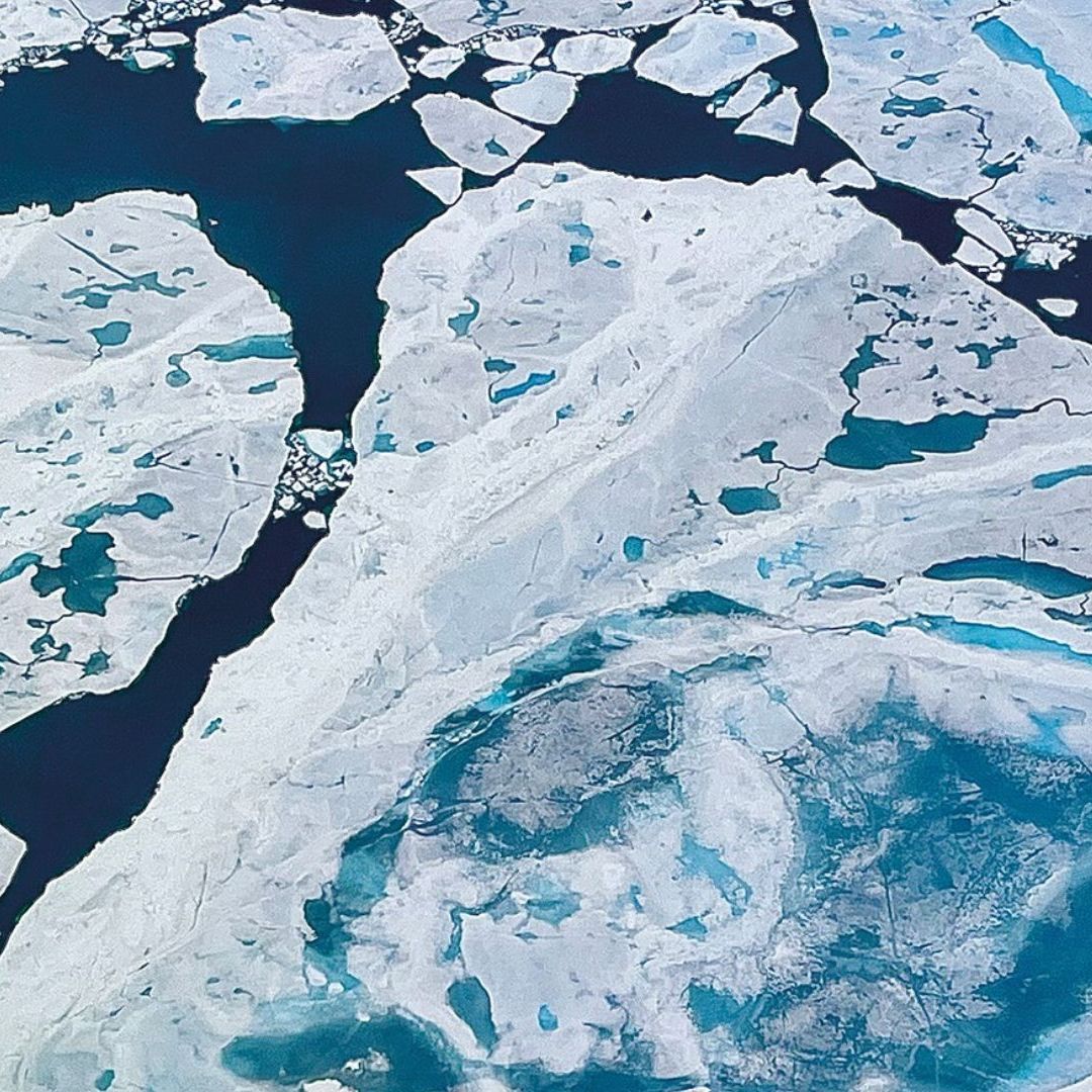 Hielo Ártico