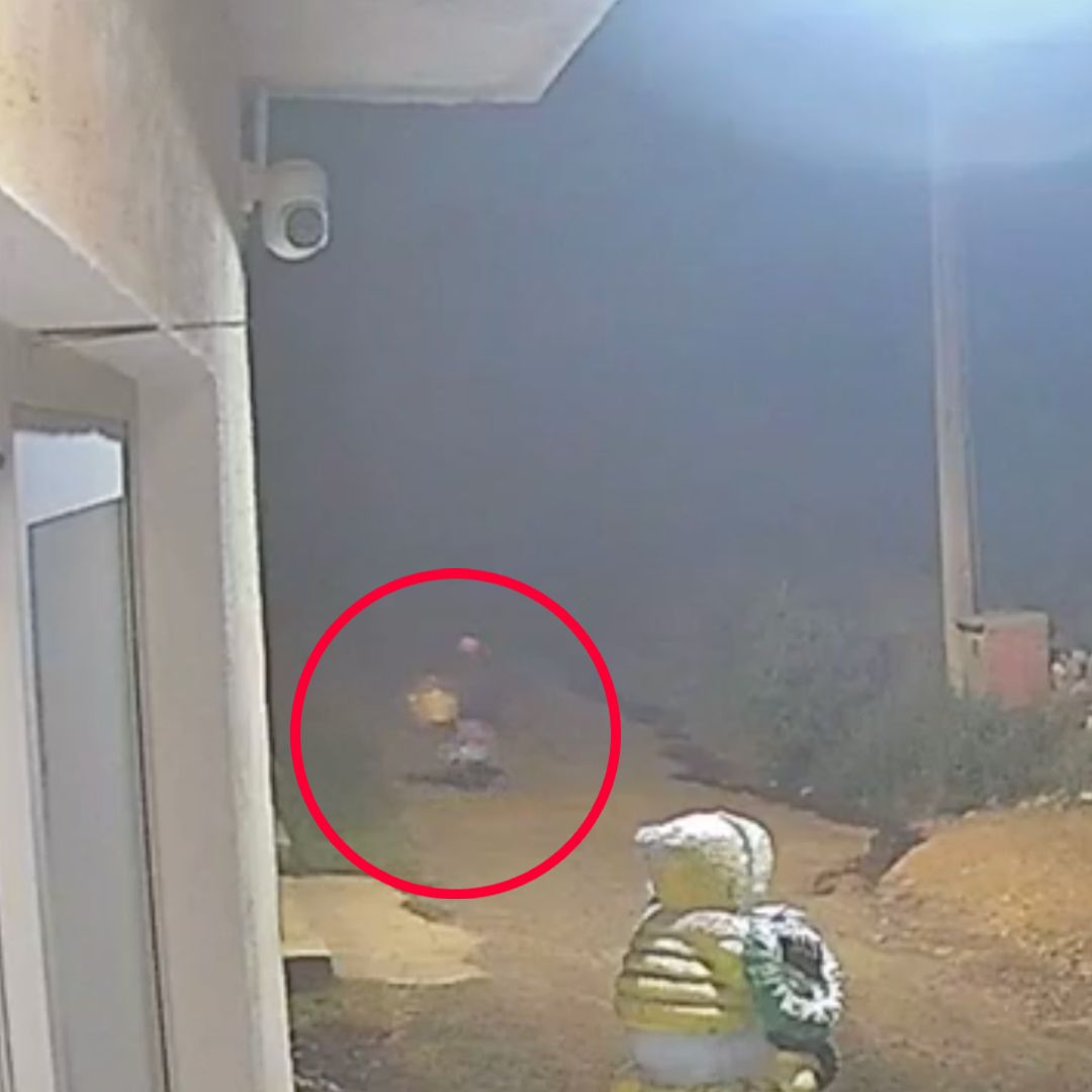 Homicidio Mujer Tercera Edad Dominga Pérez Comisario Asalto San Salvador Chachapa Amozoc Puebla