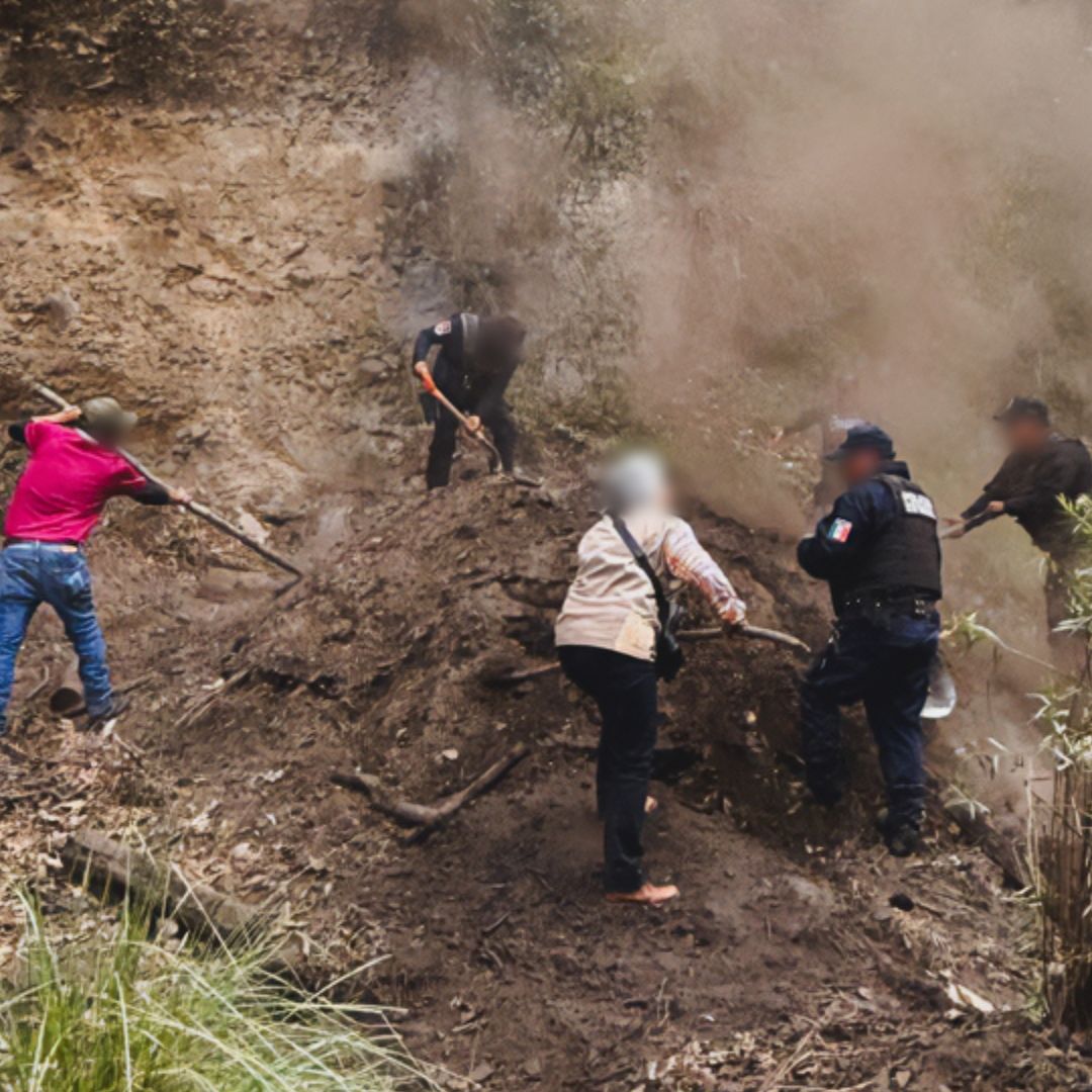 Inhabilitado Horno Clandestino Producción Carbón Parque Nacional La Malinche Tlaxcala