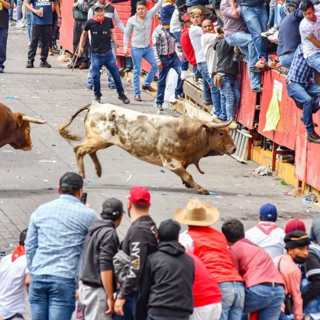 Huamantlada 2026 Huamantla Tlaxcala Toros Sueltos Fecha Hora Recomendaciones
