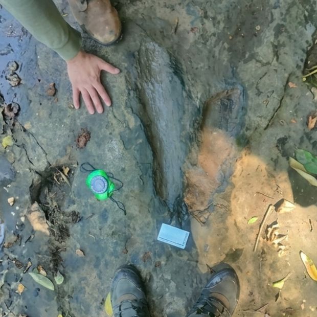Pobladores de San Juan de los Plátanos descubrieron huellas de dinosaurios en Apatzingán, Michoacán