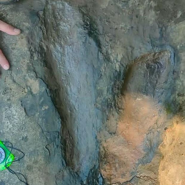 Huella de dinosaurio encontrada en margen de un río en Michoacán. Foto: INAH