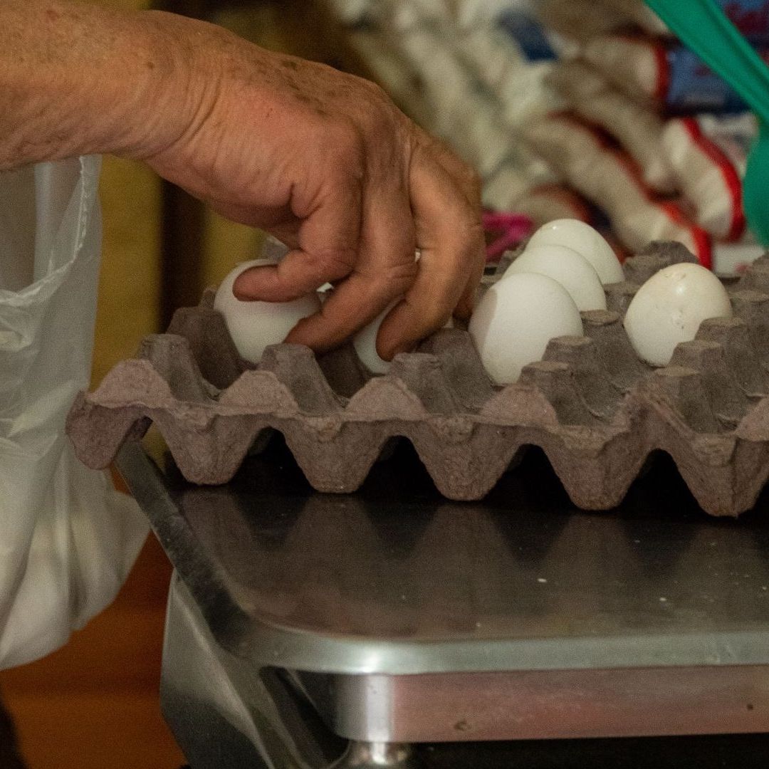 ¿Cómo detectar huevo con salmonella?