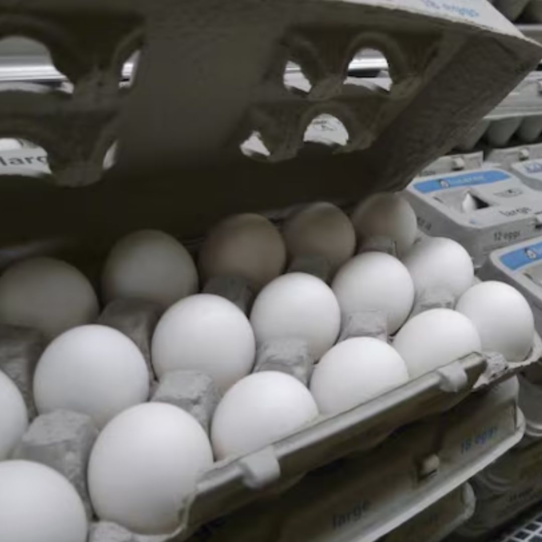 "No Consumirlos y Desecharlos", Senasica Dice Qué Hacer con Huevos de EUA con Salmonella