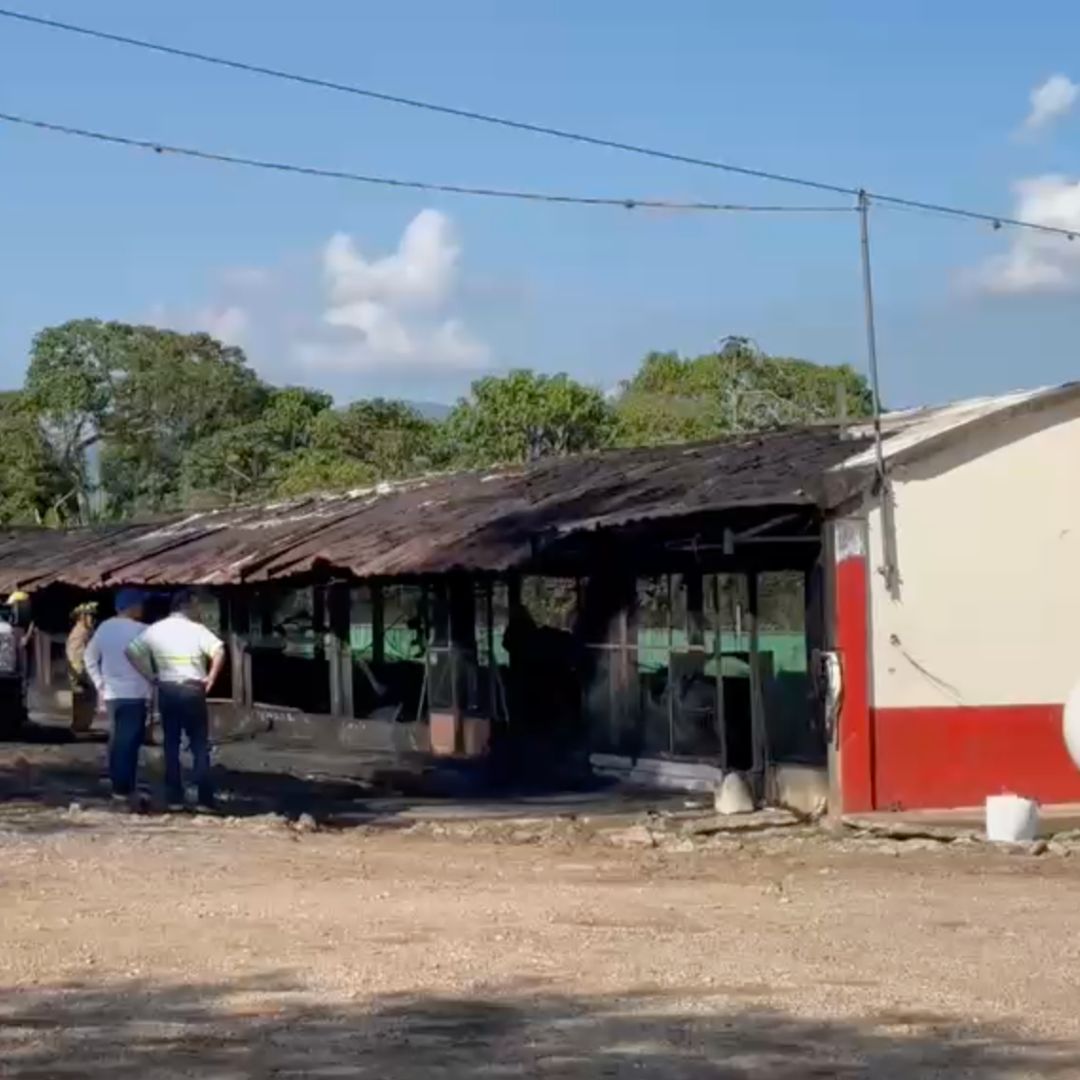 Incendio en Granja Avícola Moviliza a Cuerpos de Emergencias en la Carretera Fortín-Huatusco