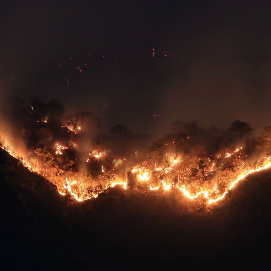 Incendio forestal en Tepoztlán, Morelos
