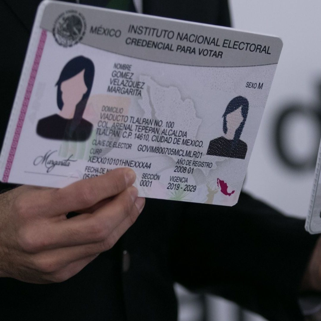 INE Lanza Nueva Credencial para Votar: ¿Qué Elementos Incorpora y Cómo Conseguirla?