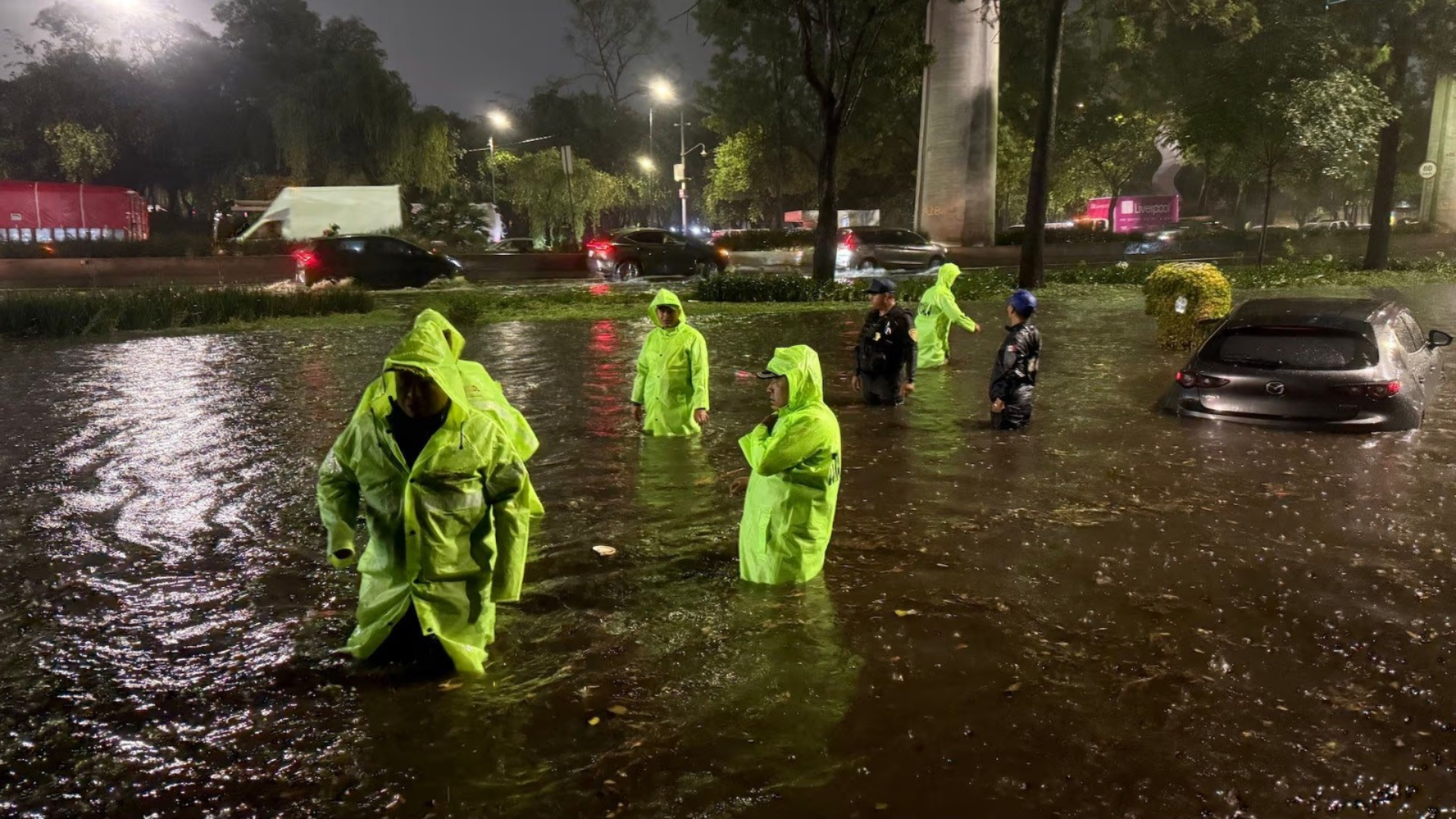Fuertes Lluvias en la CDMX Dejan al Menos 89 Árboles Caídos y 20 Encharcamientos