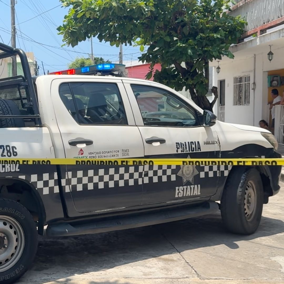 Investigan Ataque con Arma de Fuego Contra un Perro en Veracruz
