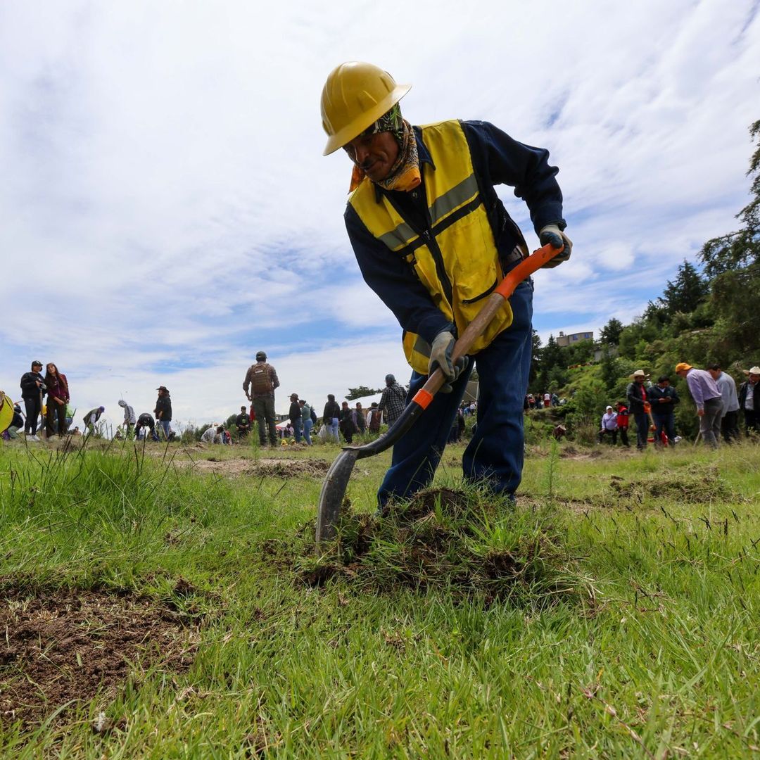 Acciones de reforestación en Estado de México
