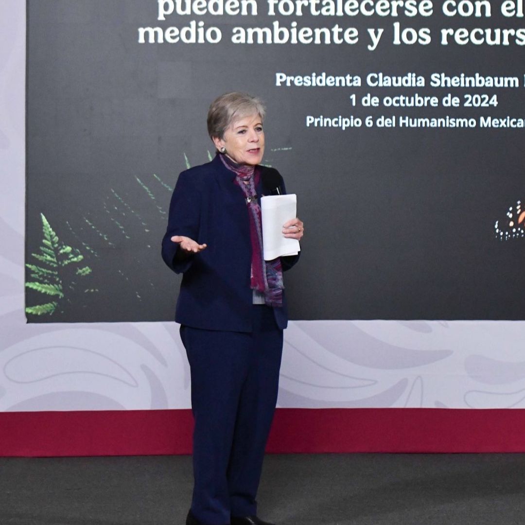 Alicia Bárcena, secretaria del Medio Ambiente y Recursos Naturales