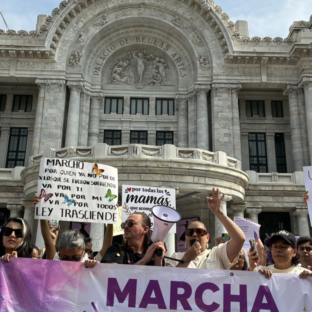 Manifestantes durante protesta a favor de la Ley Trasciende al exterior del Palacio de Bellas Artes