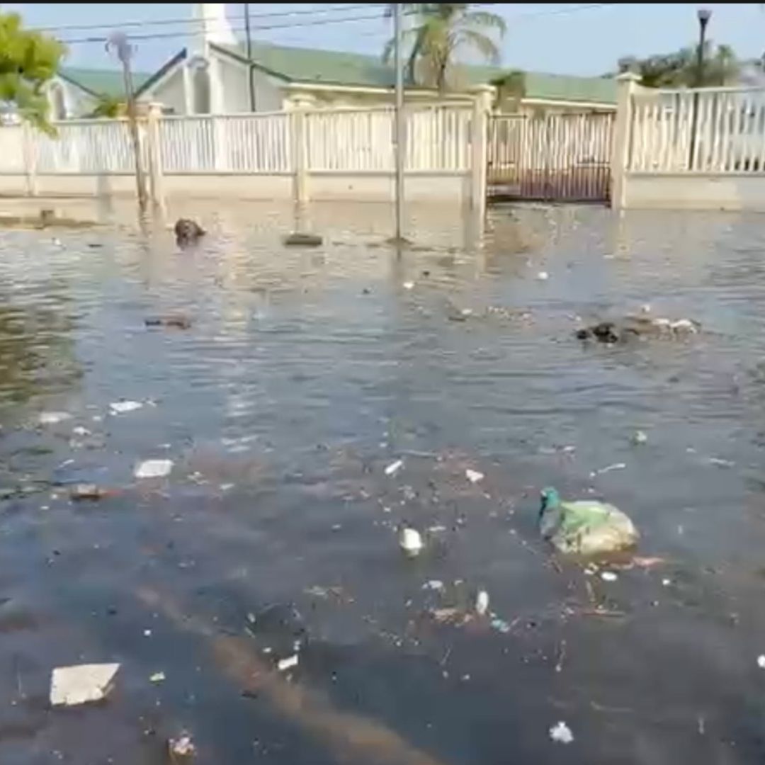 Lluvia y basura causan encharcamientos en la calle Esteban Morales de Veracruz