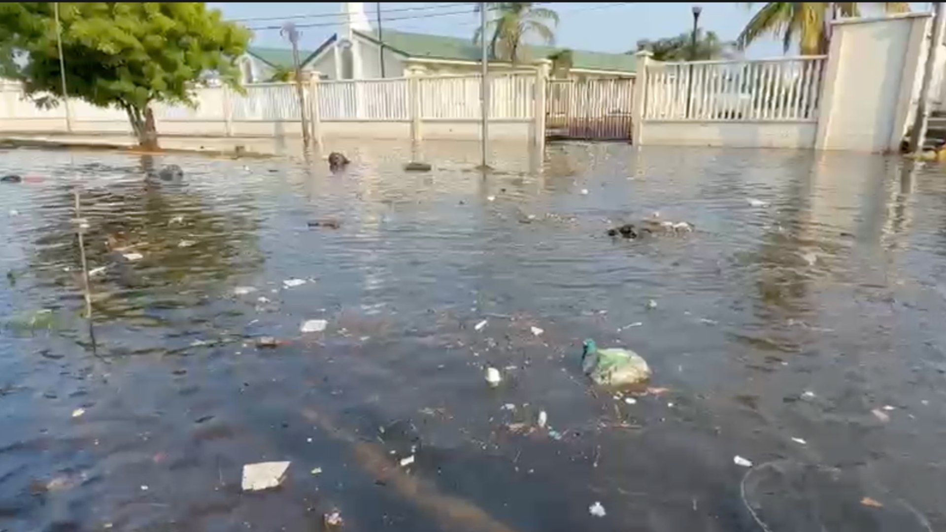 Lluvia y basura causan encharcamientos en la calle Esteban Morales de Veracruz