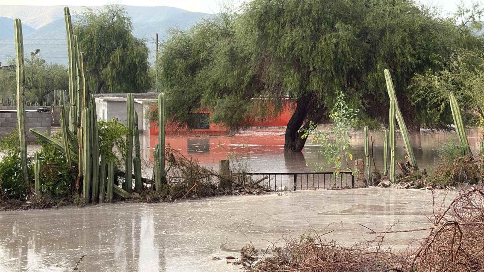 Lluvias Mier y Noriega