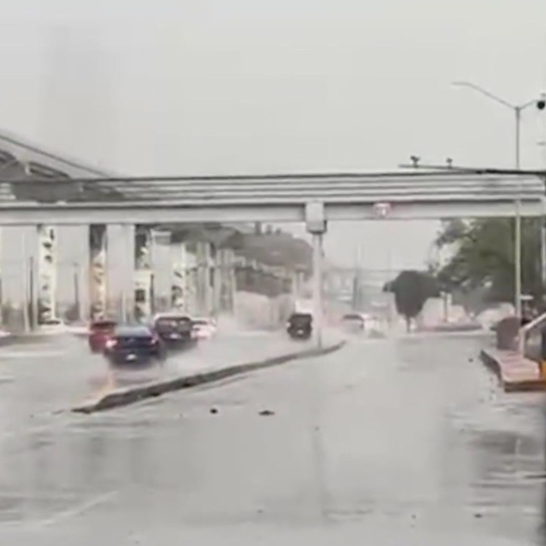 Lluvias en NL