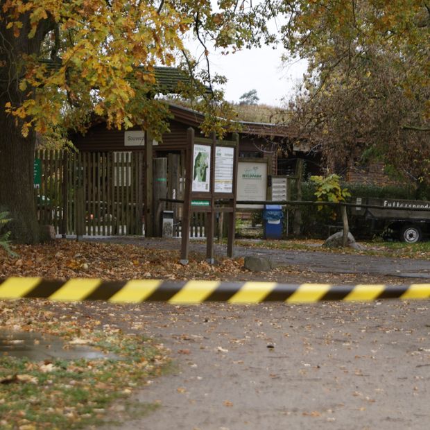 El parque donde ocurrió el ataque de un lobo contra una niña fue cerrado