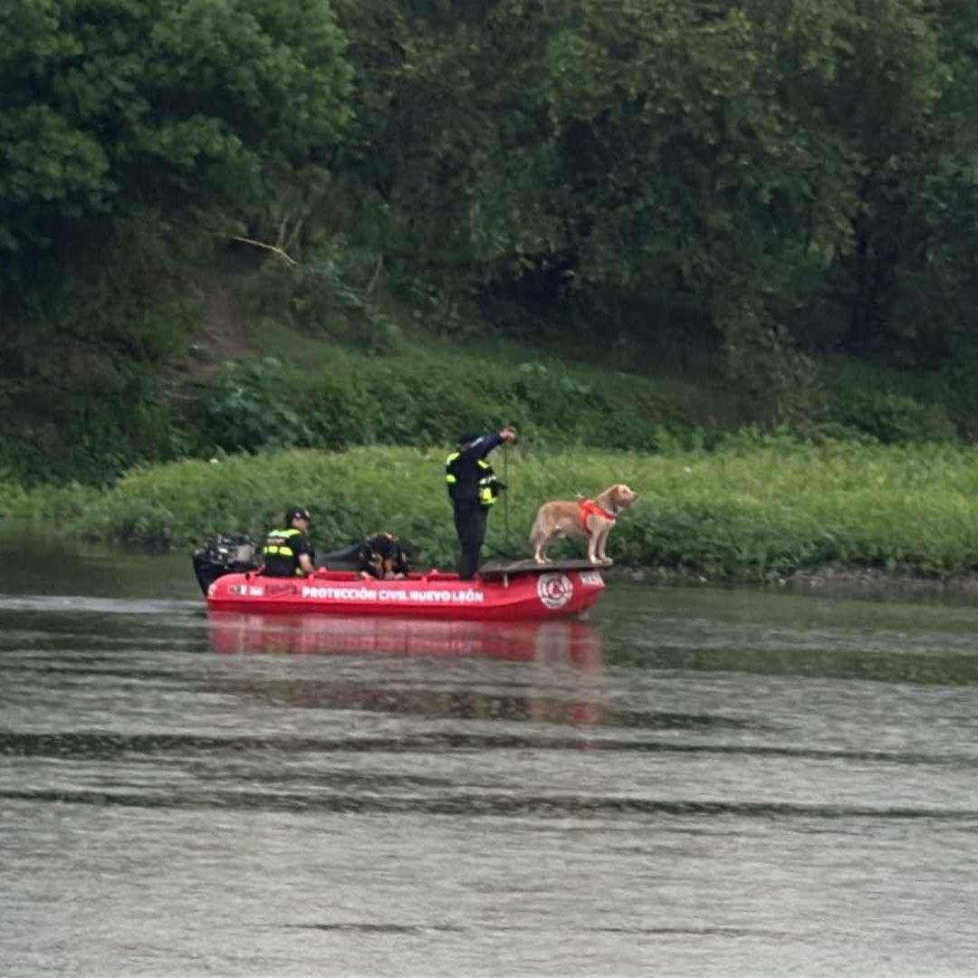 Unidad K9 buscando cuerpo de hombre