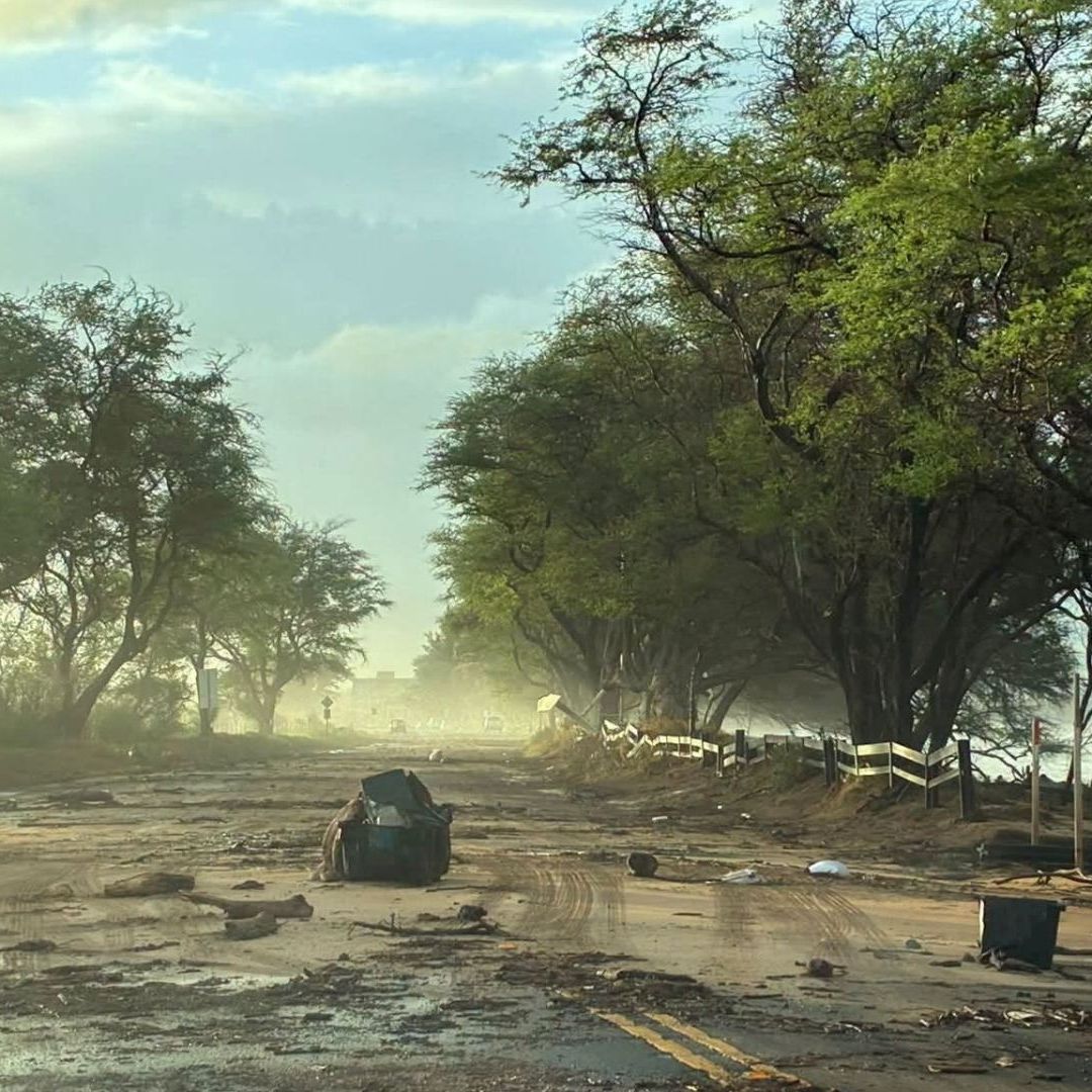 Escombros sobre una carretera tras el paso del huracán Lowell en Maui el 8 de septiembre de 2026. Foto: Departamento de Transporte de Hawái vía Reuters