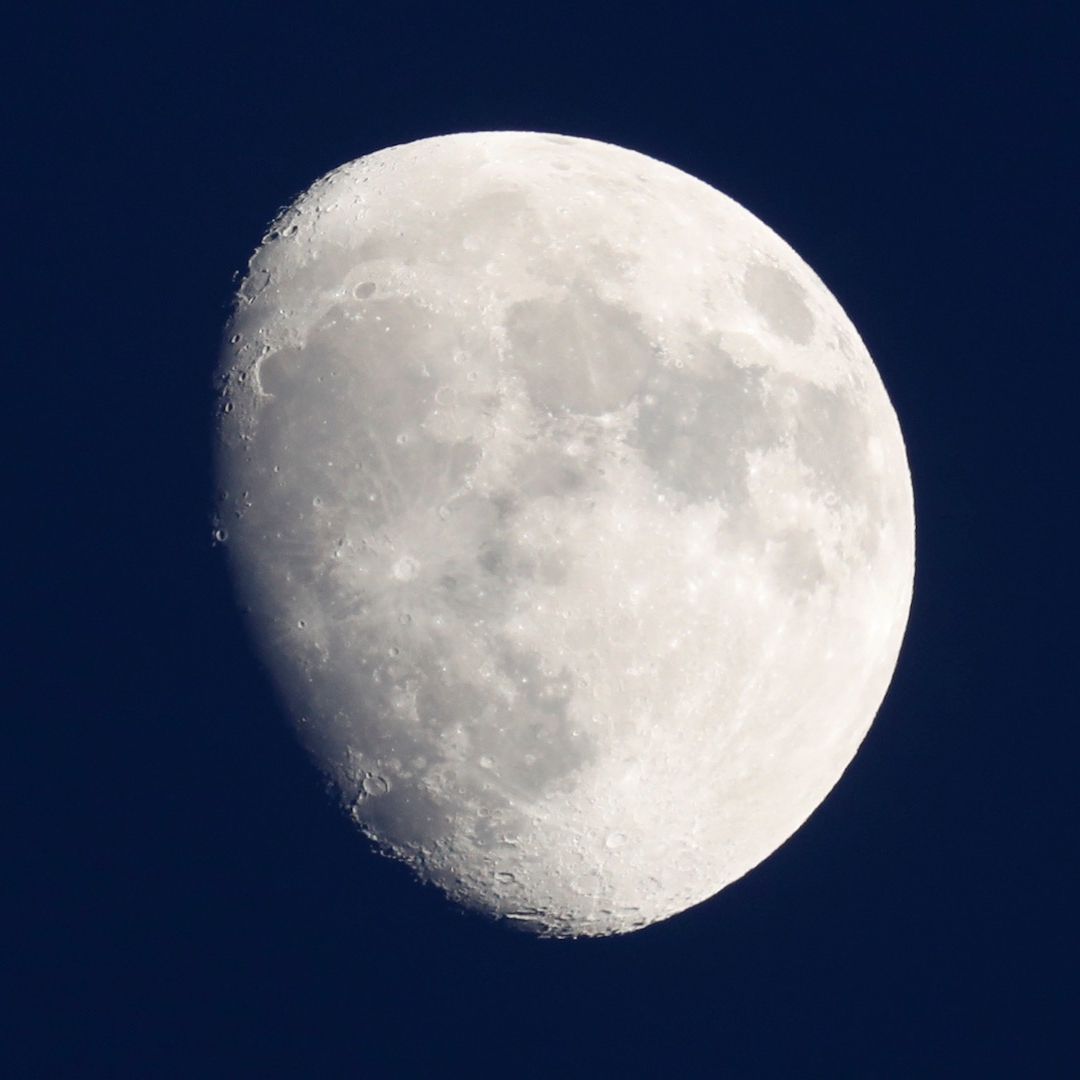 Luna gibosa