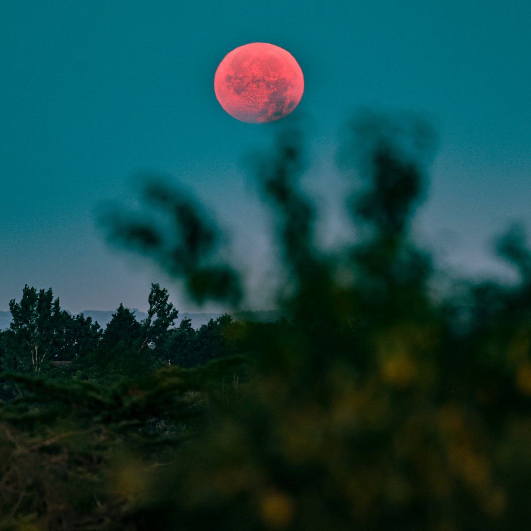 Luna roja