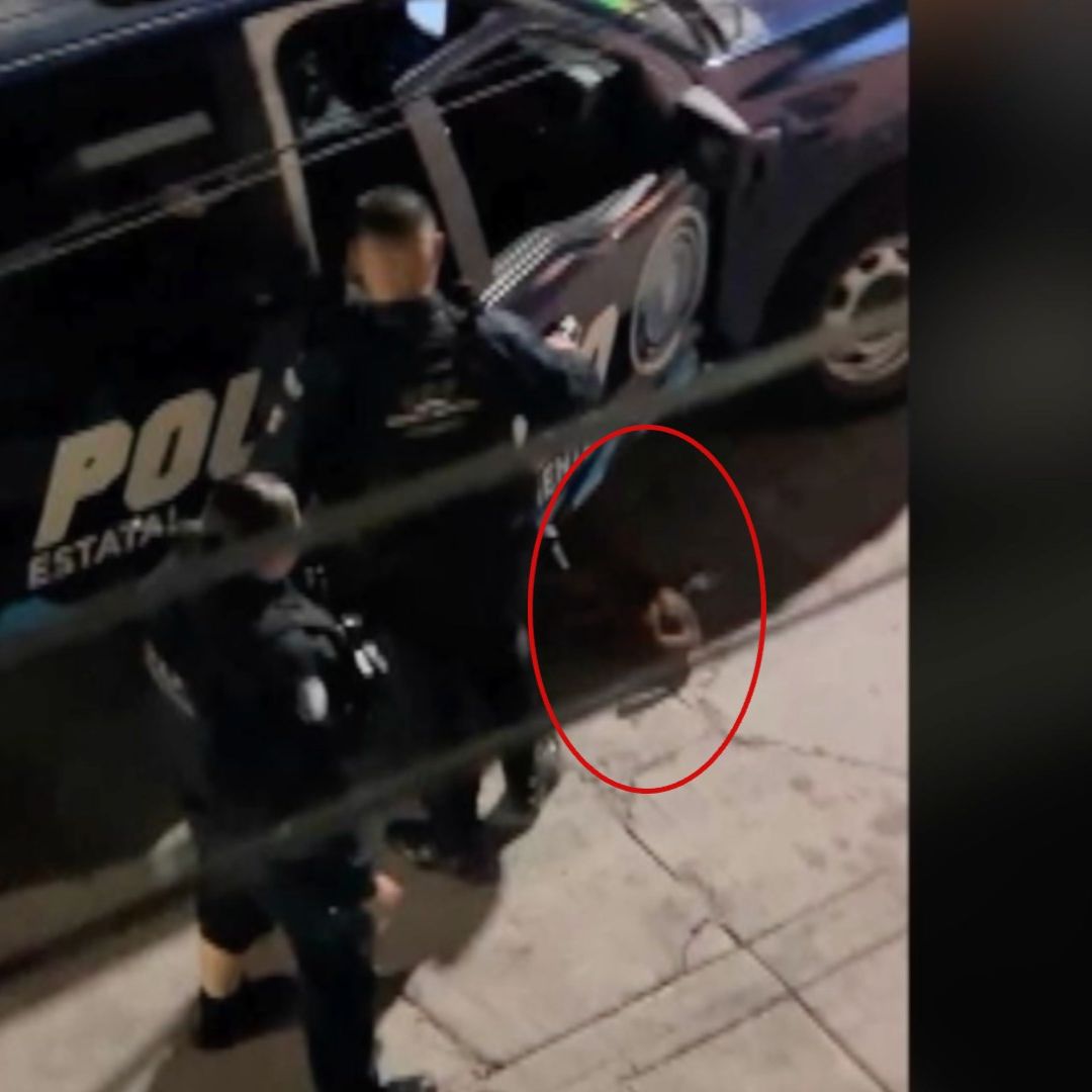 Muerte perro canelo