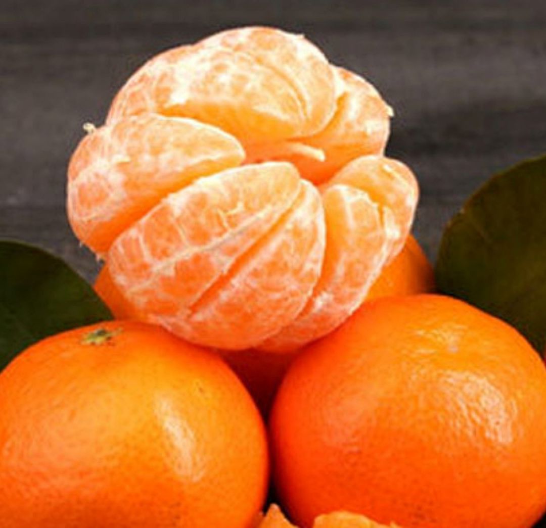 La mandarina es altamente valorada en la gastronomía y por sus propiedades medicinales. Foto: Sader