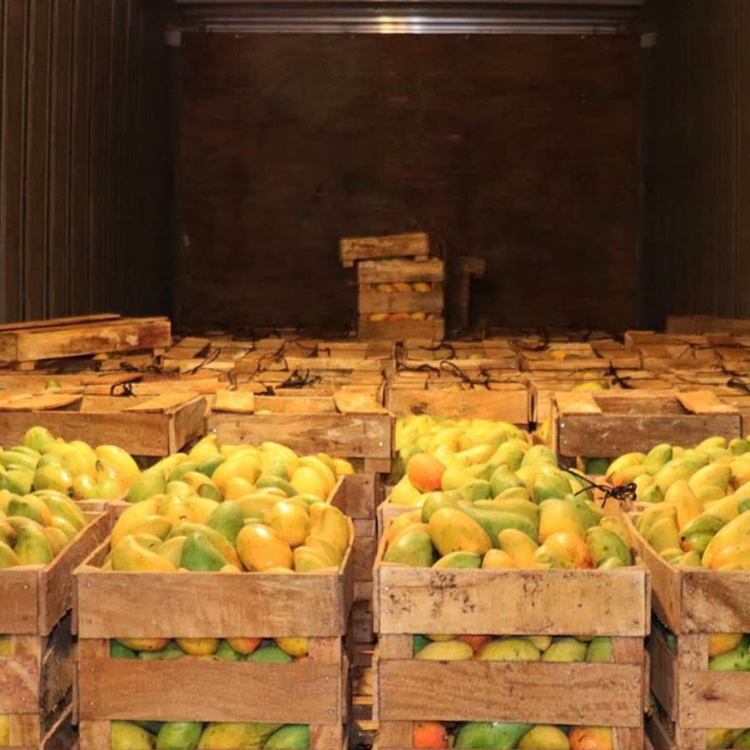 Las cajas con mangos fueron retiradas de centros comerciales ante una posible contaminación